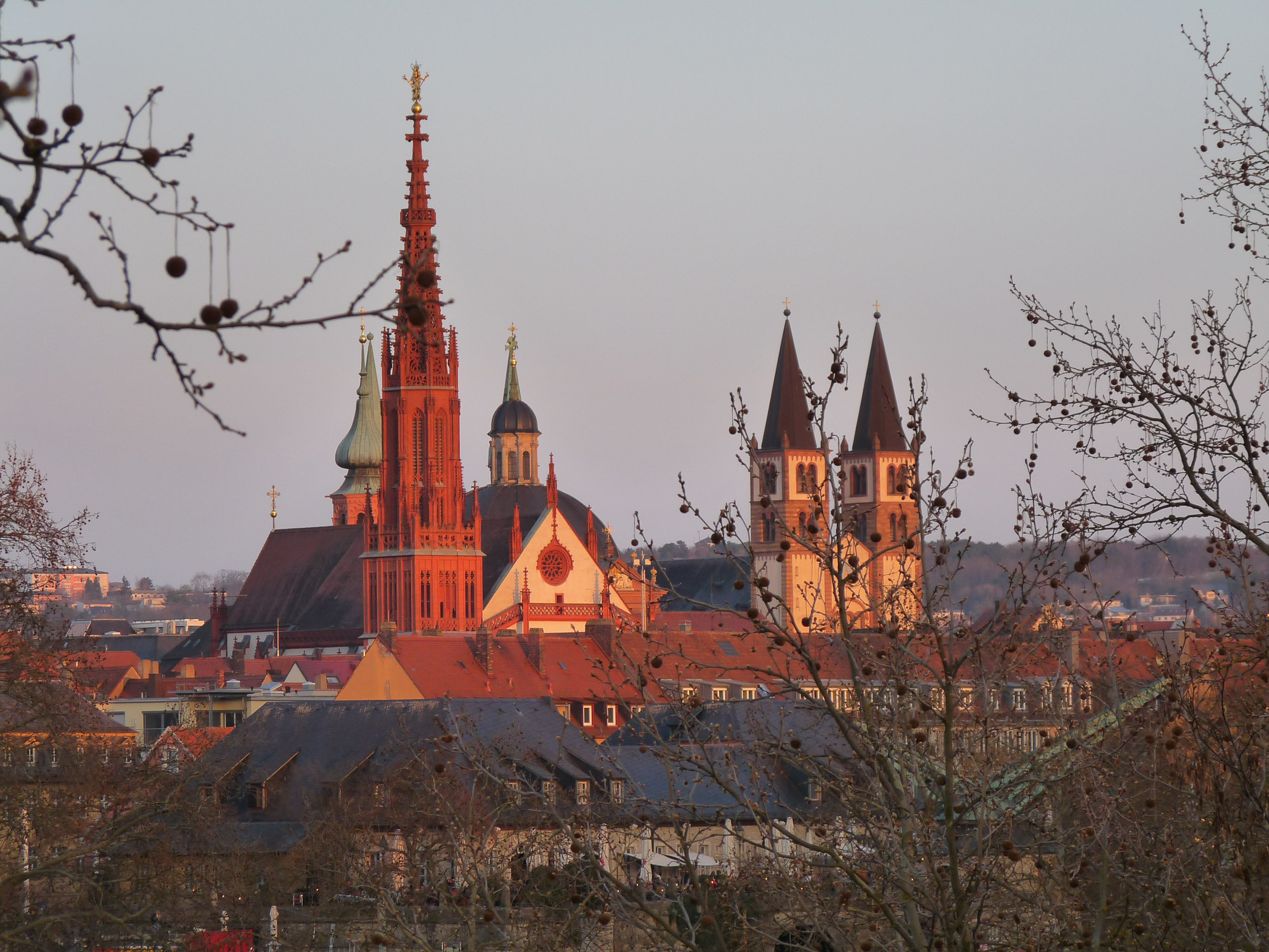 20190330185812 P1120356